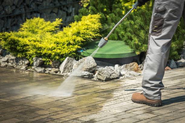 Best Roof Cleaning and Mildew Removal in Washington Park, IL