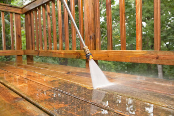 Best Vinyl Siding Pressure Washing in Washington Park, IL